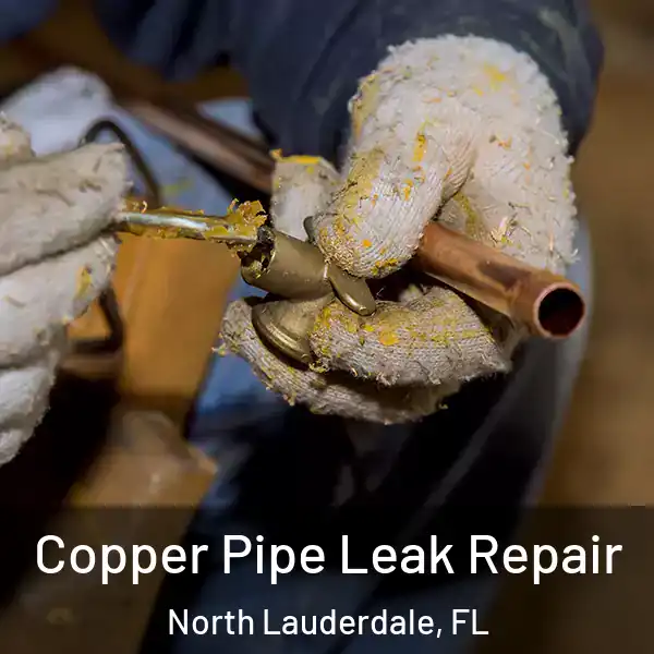  Copper Pipe Leak Repair North Lauderdale, FL