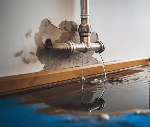 Professional Water Damage Restoration Experts in North Lauderdale, FL — Fast, Reliable & Certified