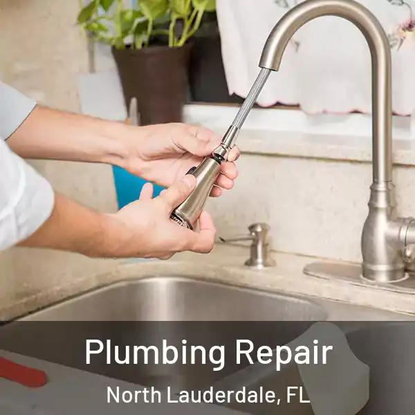  Plumbing Repair North Lauderdale, FL